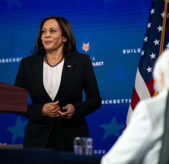 Vice President Elect Kamala Harris