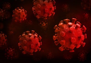 One death and seven new COVID-19 cases reported Wednesday – HalifaxToday.ca