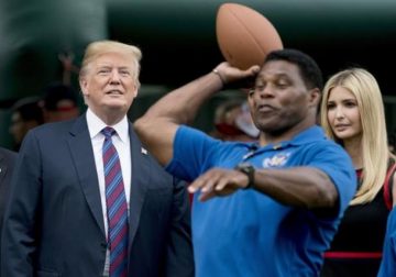 Trump-backed Herschel Walker seeks Georgia Senate seat – World News – Castanet.net