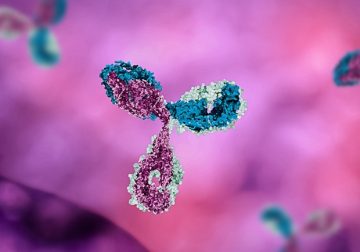 New platform can quickly identify common mutations on the SARS-CoV-2 virus – News-Medical.net