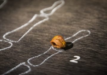 Scientists Have Discovered a Hotspot of Denisovan Ancestors