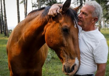 ‘Boom, they were gone,’ freak lightning strike kills two horses in Alberta – CP24 Toronto’s Breaking News