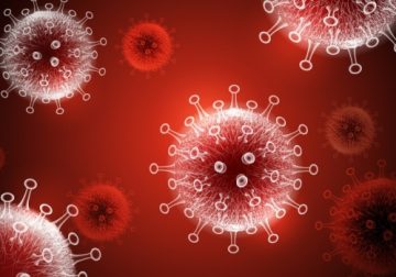 Coronavirus: 31 new COVID-19 cases in Manitoba on Friday | CTV News – CTV News Winnipeg