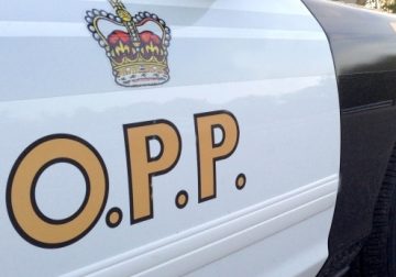 Golfer killed in Erin during Saturday night’s storm – CTV News Toronto